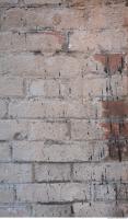 Photo Texture of Wall Brick 0008